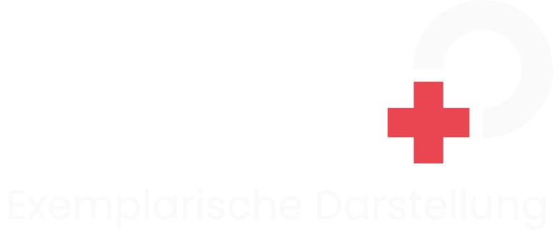 Exemplarische Darstellung